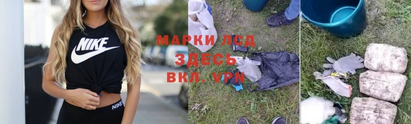 индика Алексин