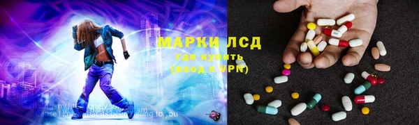индика Алексин