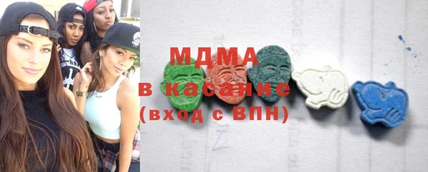 индика Алексин