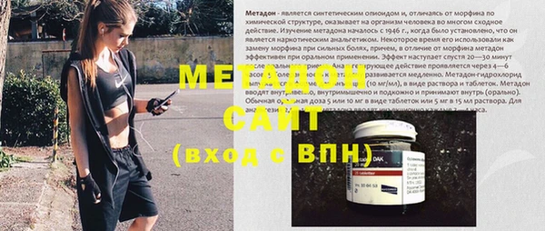 индика Алексин