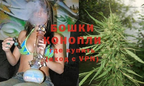 шишки Абдулино