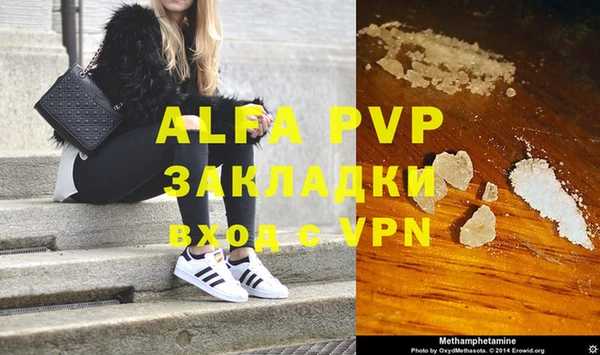 индика Алексин