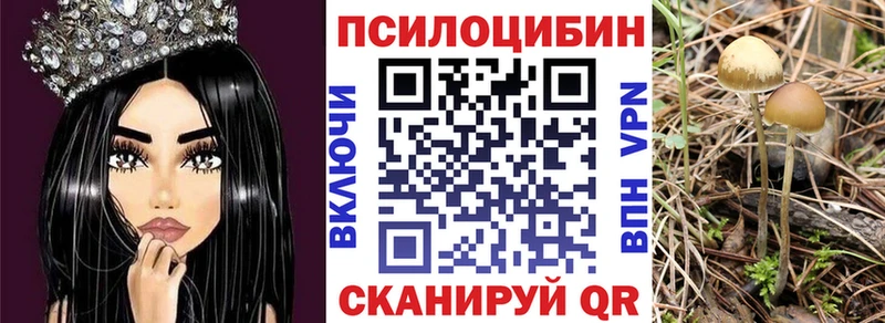 Галлюциногенные грибы Psilocybe Карабаш